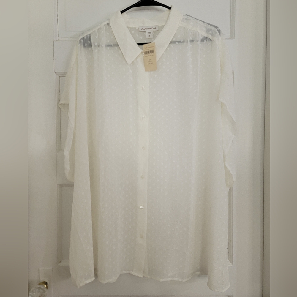Coldwater Creek Women's Elegant Sheer Dotted Swiss Shirt